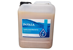 Vivani Melkzuurbacteriën