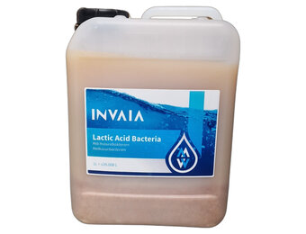 Vivani Melkzuurbacteriën