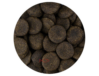 Vivani Koi Gulden 20 mm - Koi Treats