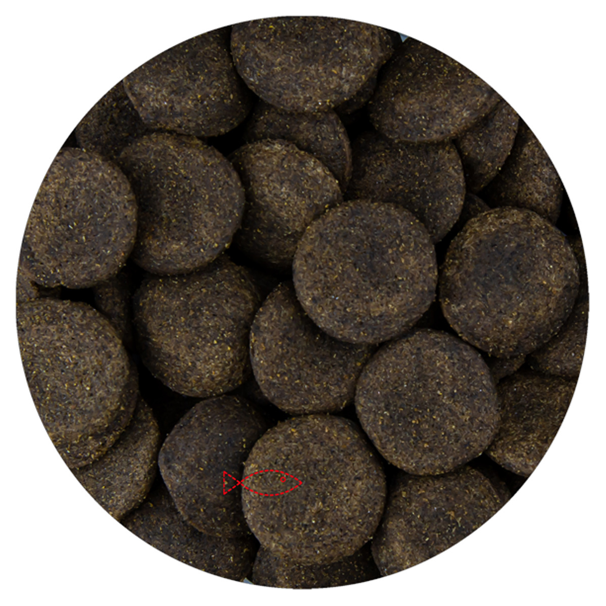 Vivani Koi Gulden 20 mm - Koi Treats