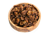 Vivani Silkworms