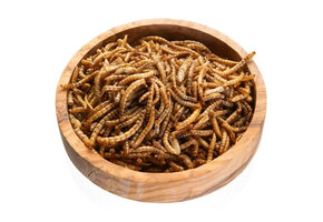 Vivani Mealworms