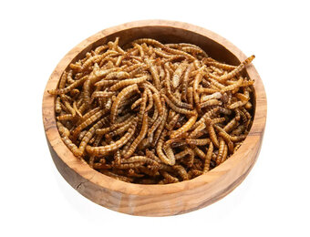 Vivani Mealworms