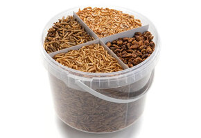 Vivani Koi Treats 4 Compartments