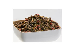 Vivani Koi Mix 3-8 mm