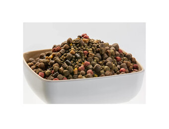 Vivani Koi Mix 3-8 mm