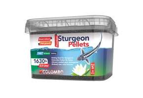 Colombo Steurvoer Small