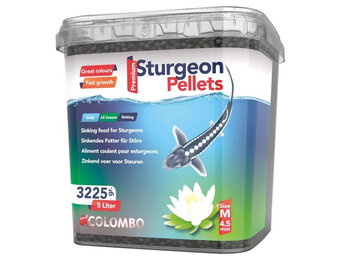 Colombo Steurvoer Medium