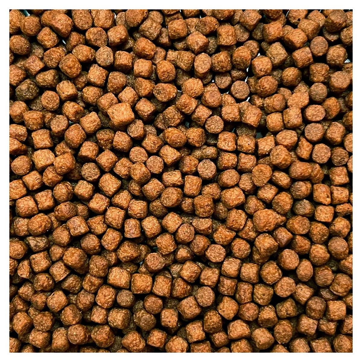 Marks Koivoer Champions Edition Multi Season 4,5 mm Drijvend