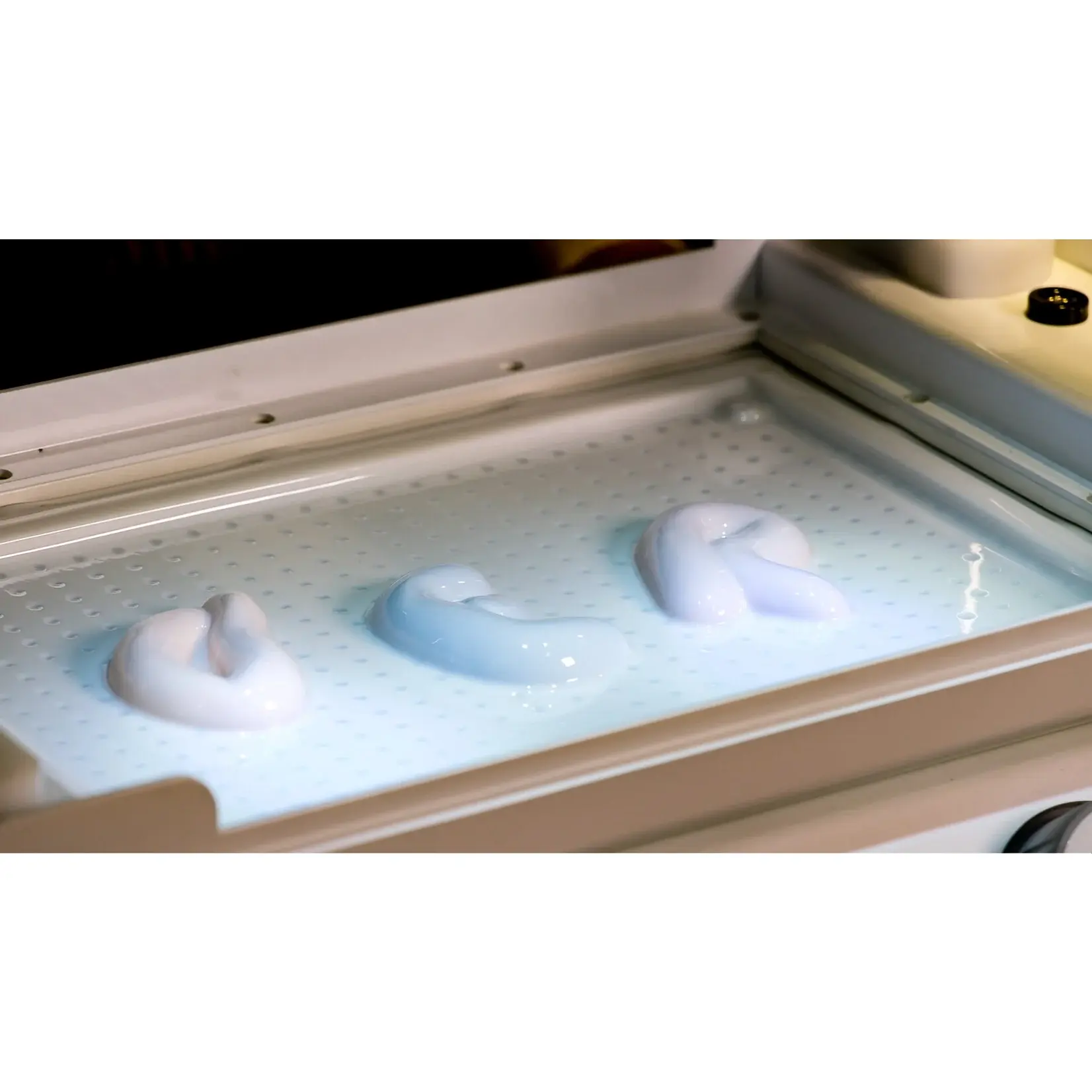 MY YARD White HIPS A4