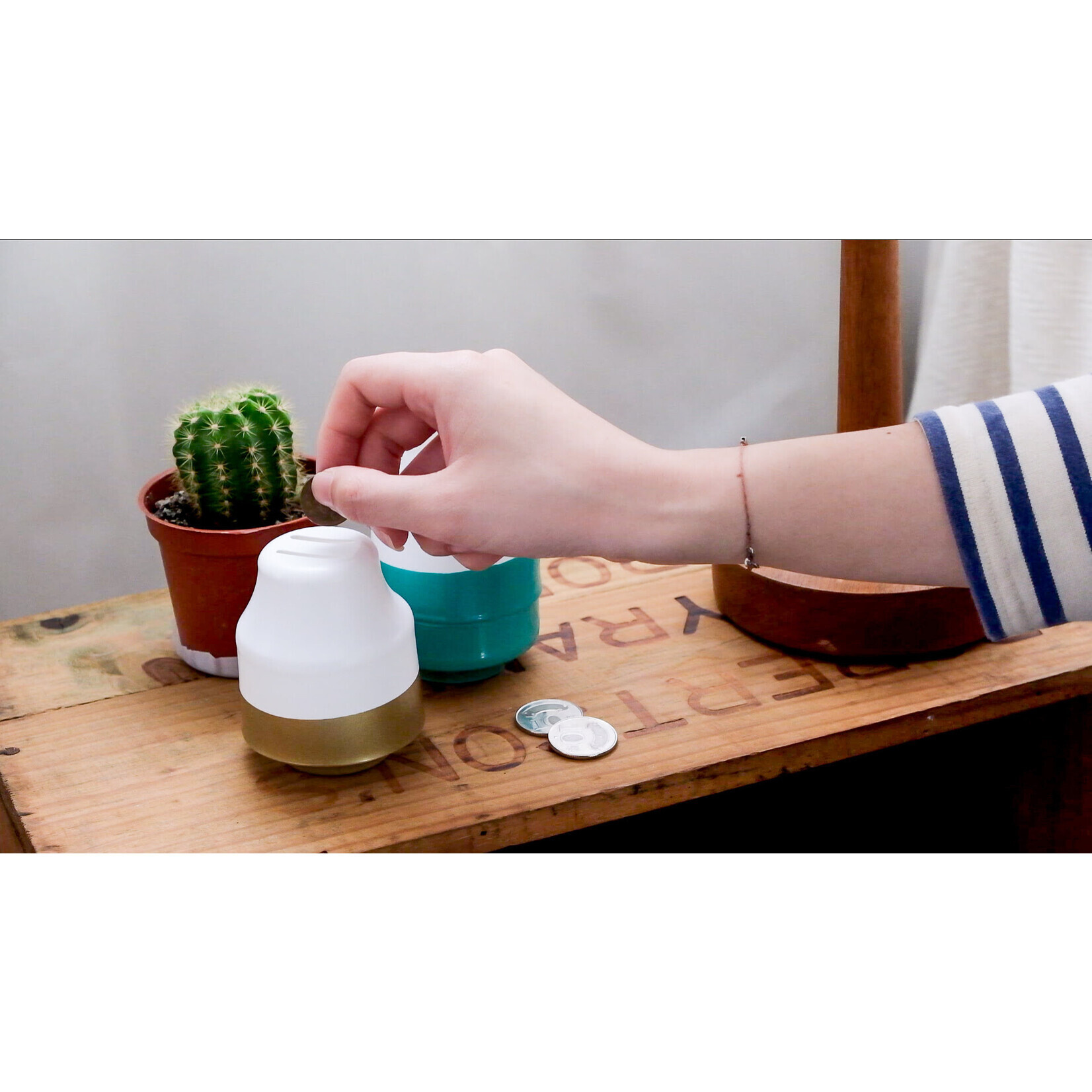 MY YARD White HIPS A4