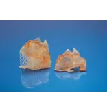 Formlabs BioMed Amber resin (Form 4) 1L RS-C2-BMAM-01