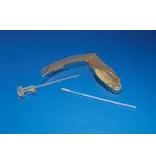 Formlabs BioMed Amber resin (Form 4) 1L RS-C2-BMAM-01