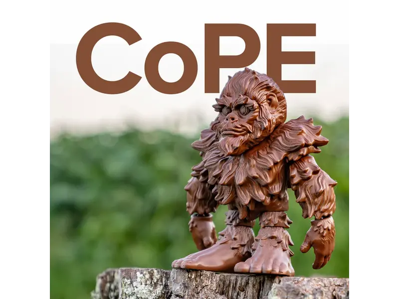 Polymaker Panchroma CoPE Brown 1.75 mm