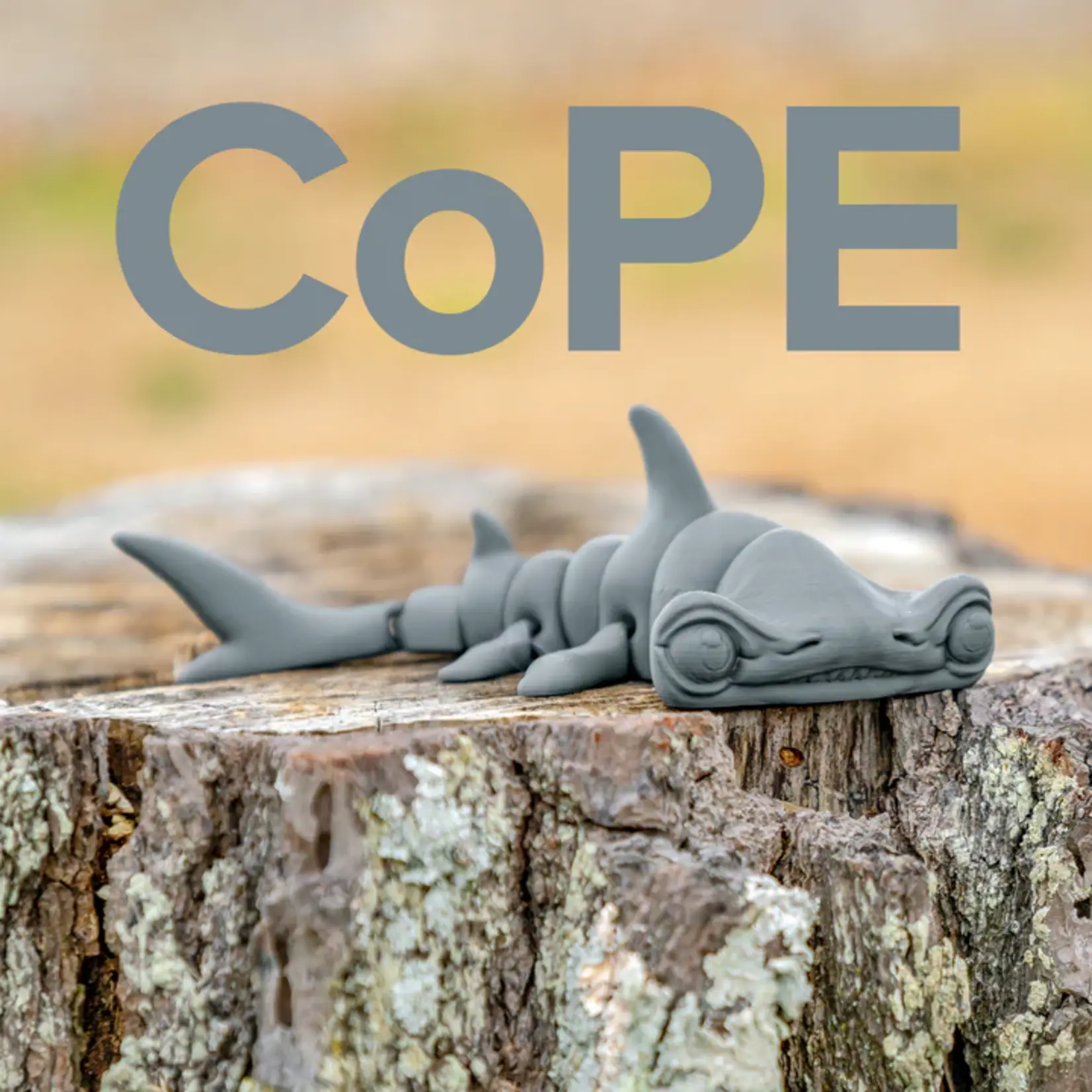 Polymaker Panchroma CoPE -  Steel Grey