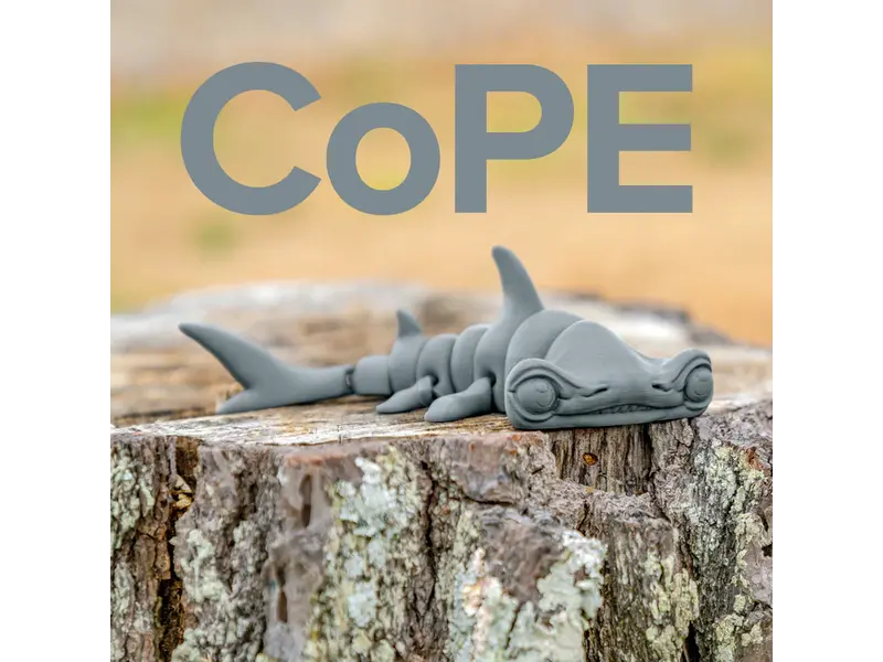 Polymaker Panchroma CoPE Steel Grey 1.75 mm