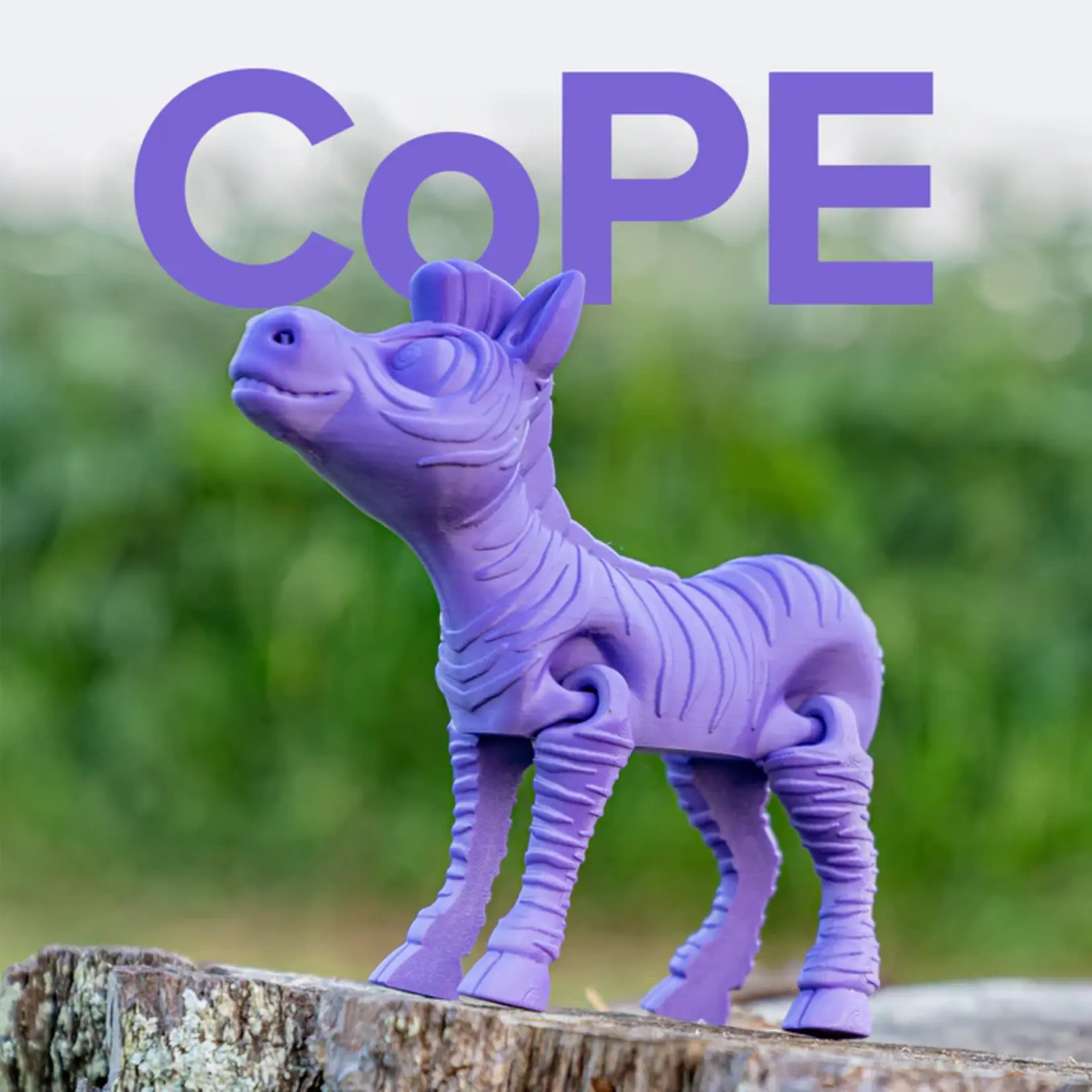 Polymaker Panchroma CoPE Paars 1,75 mm