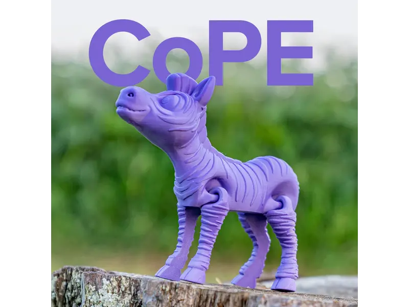 Polymaker Panchroma CoPE Purple 1.75 mm