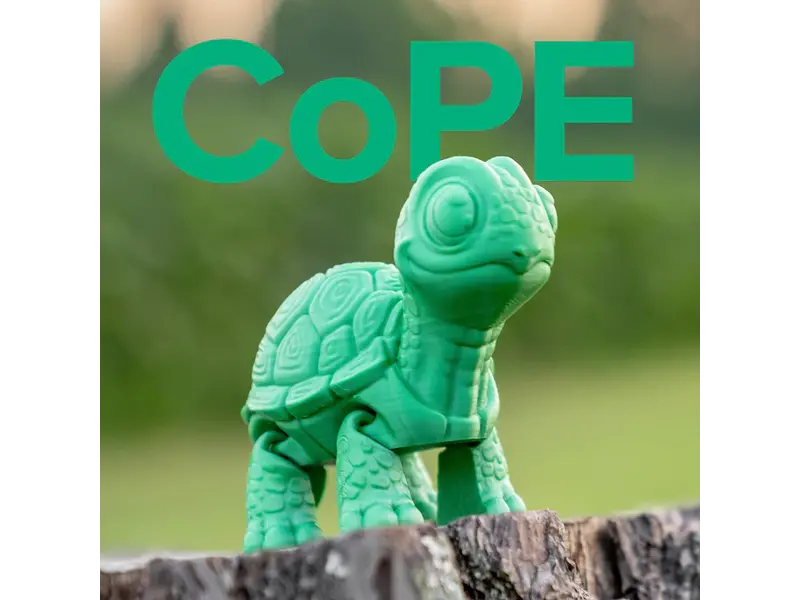 Polymaker Panchroma CoPE Green 1.75 mm