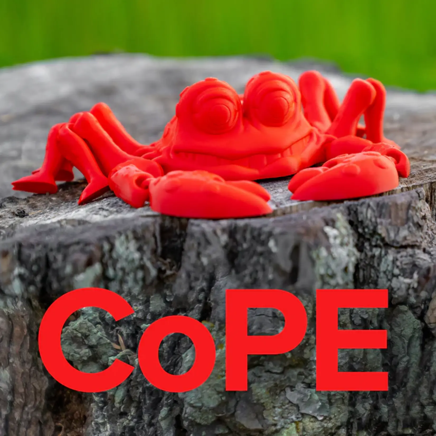 Polymaker Panchroma CoPE Rood 1,75 mm