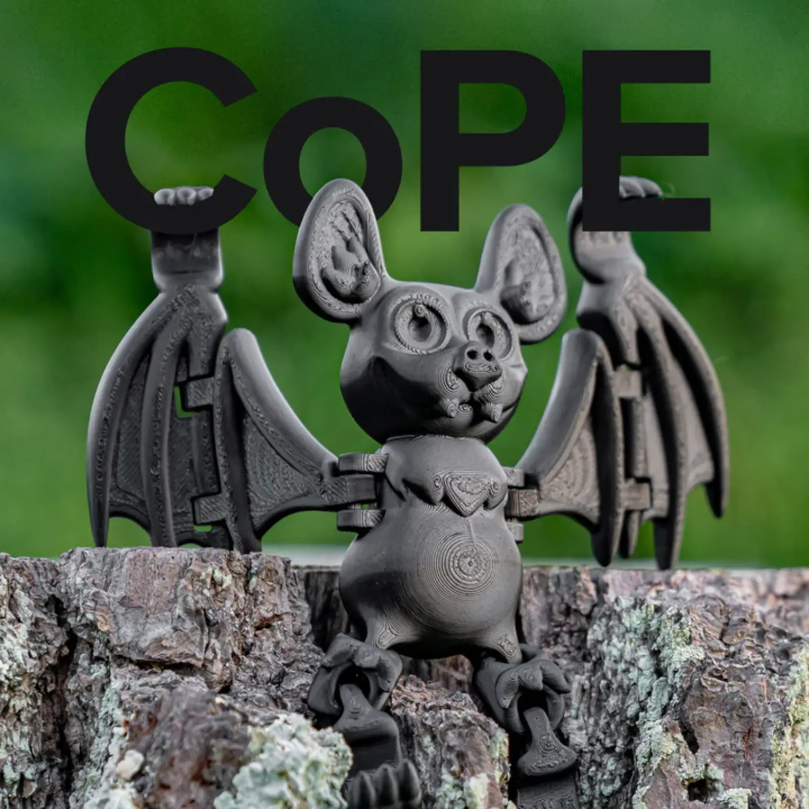 Polymaker Panchroma CoPE Zwart 1,75 mm