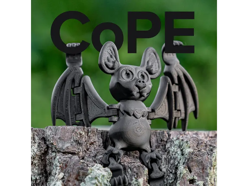 Polymaker Panchroma CoPE Black 1.75 mm