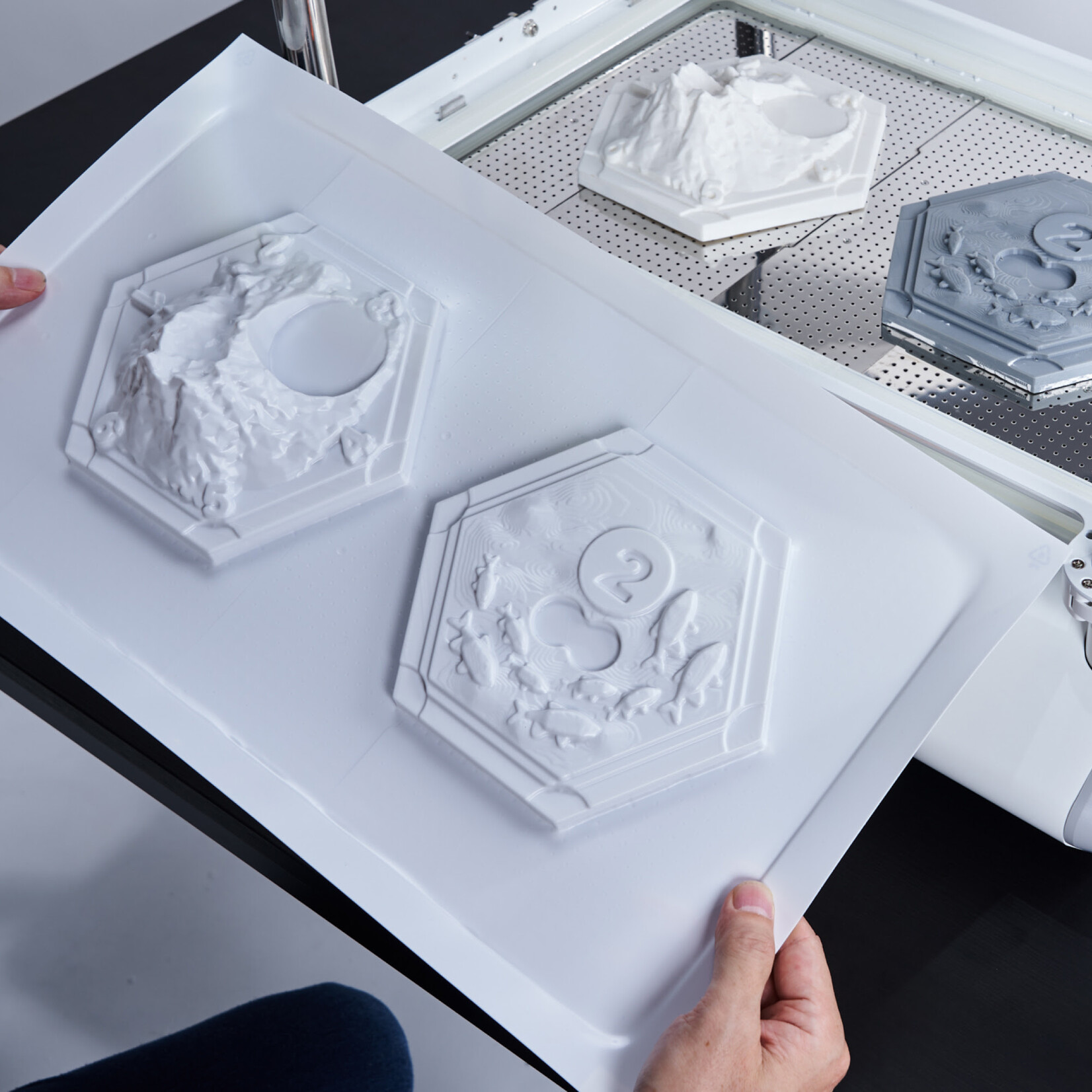 MY YARD White HIPS A4