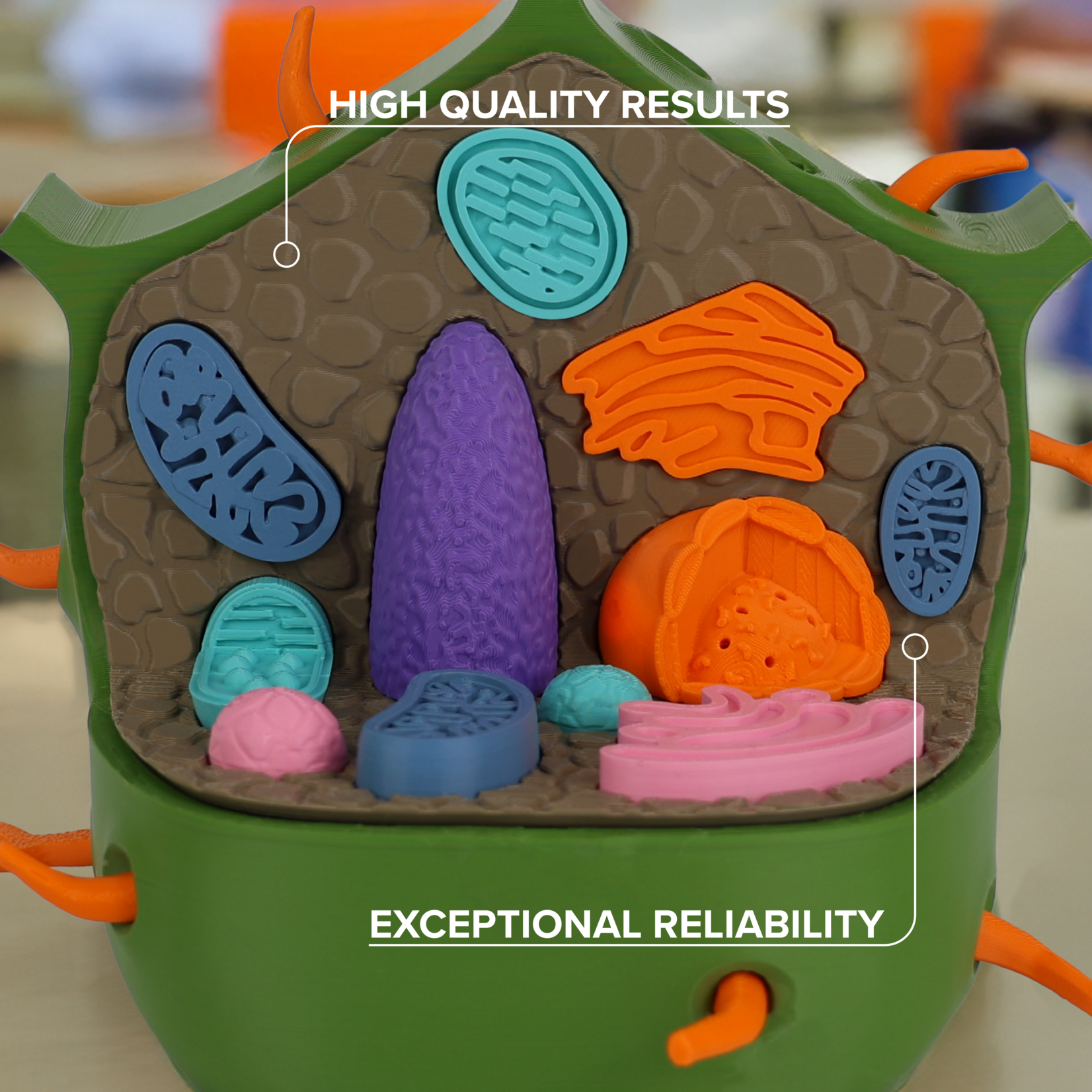 Polymaker Panchroma Basic PLA - Basic Donker olijfgroen