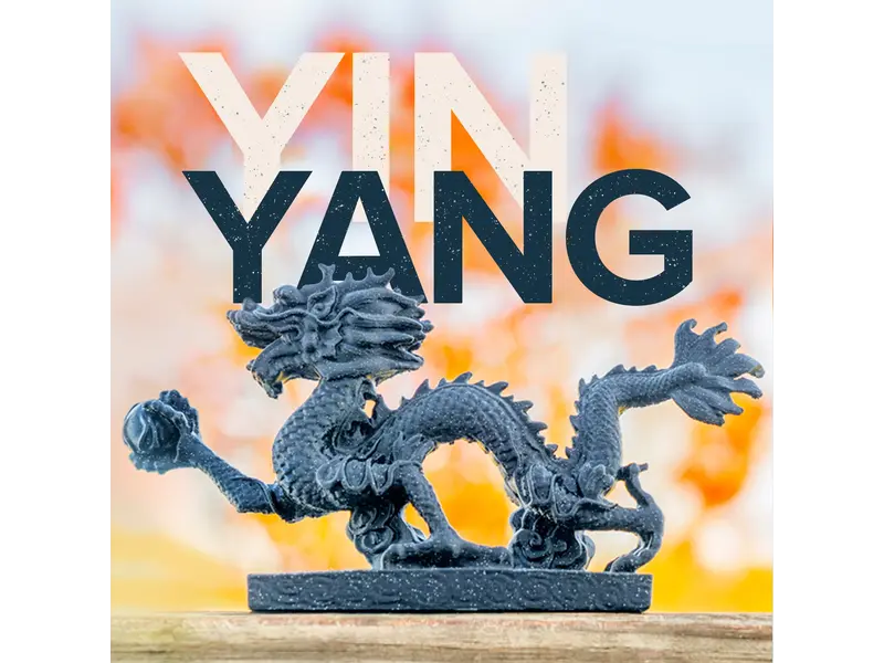 Polymaker Panchroma PLA Dual Yin-Yang