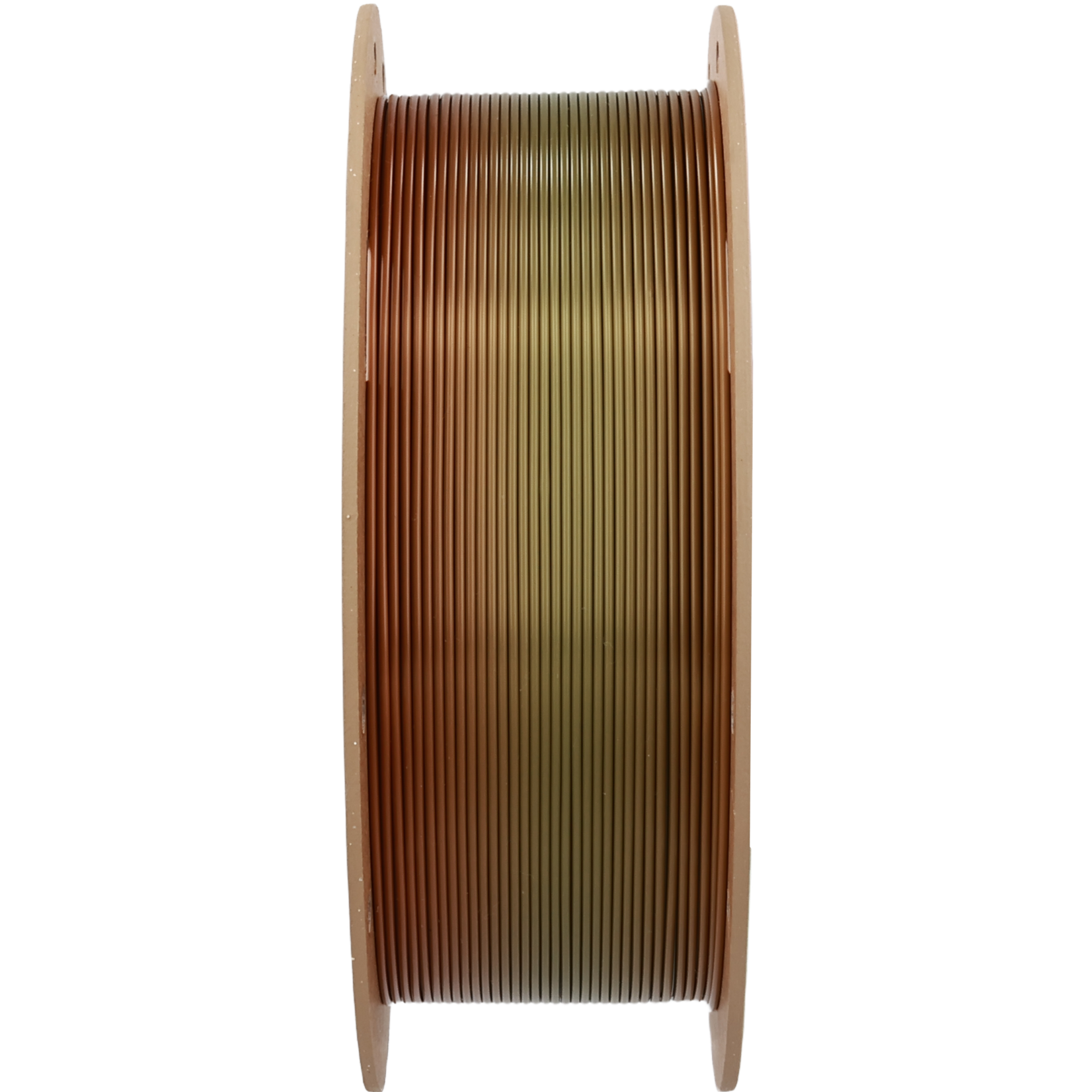 Polymaker Panchroma PLA Gradient Silk Earth