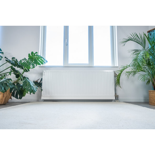 Radiator Pro ventilator