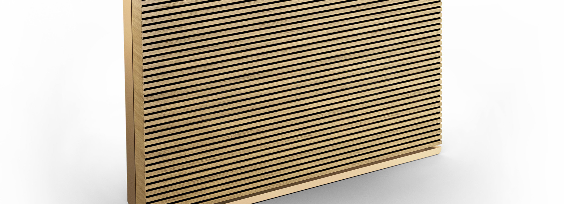 BeoSound Level
