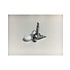 Witte kentekenplaat reflectie