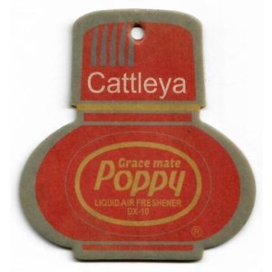 Poppy Poppy Geurhanger Cattleya