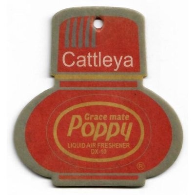 Poppy Poppy Geurhanger Cattleya