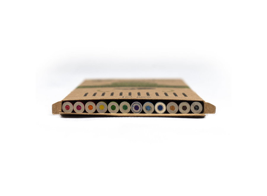 Pandoo colored pencils from recycled paper - 12 pieces