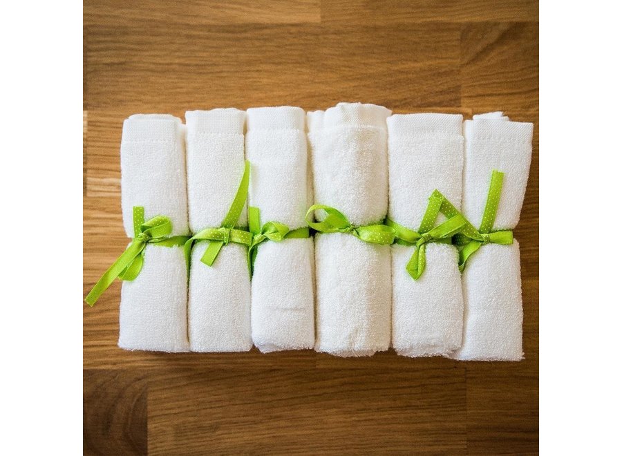 Bamboe wasbare doekjes - billendoekjes - 6 stuks