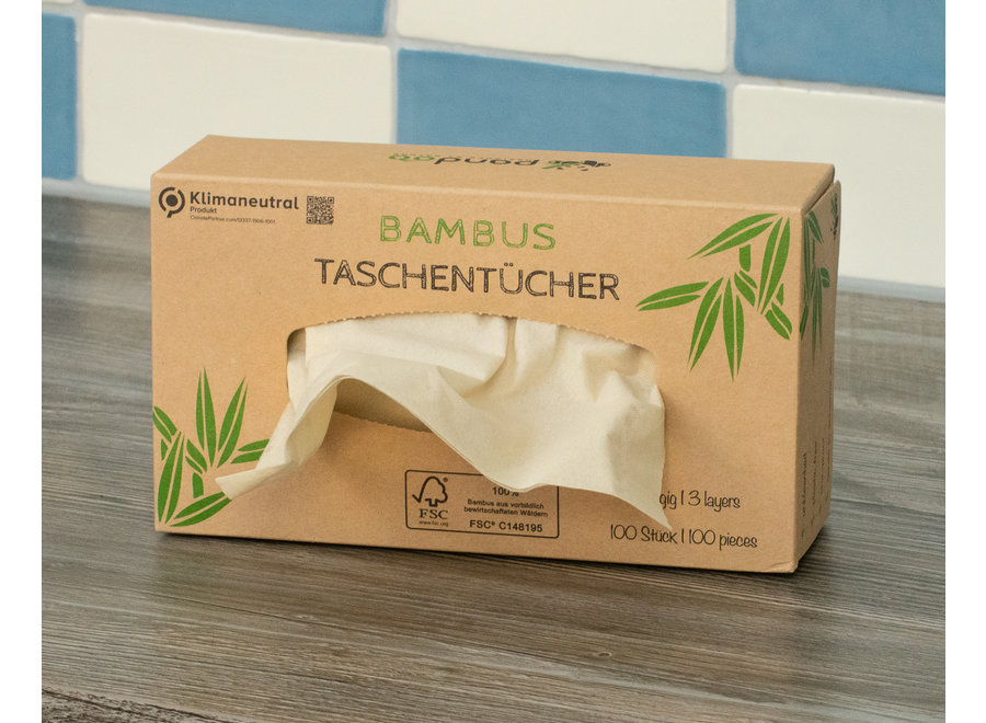 Tissues bamboo - 1 box - 100 tissues