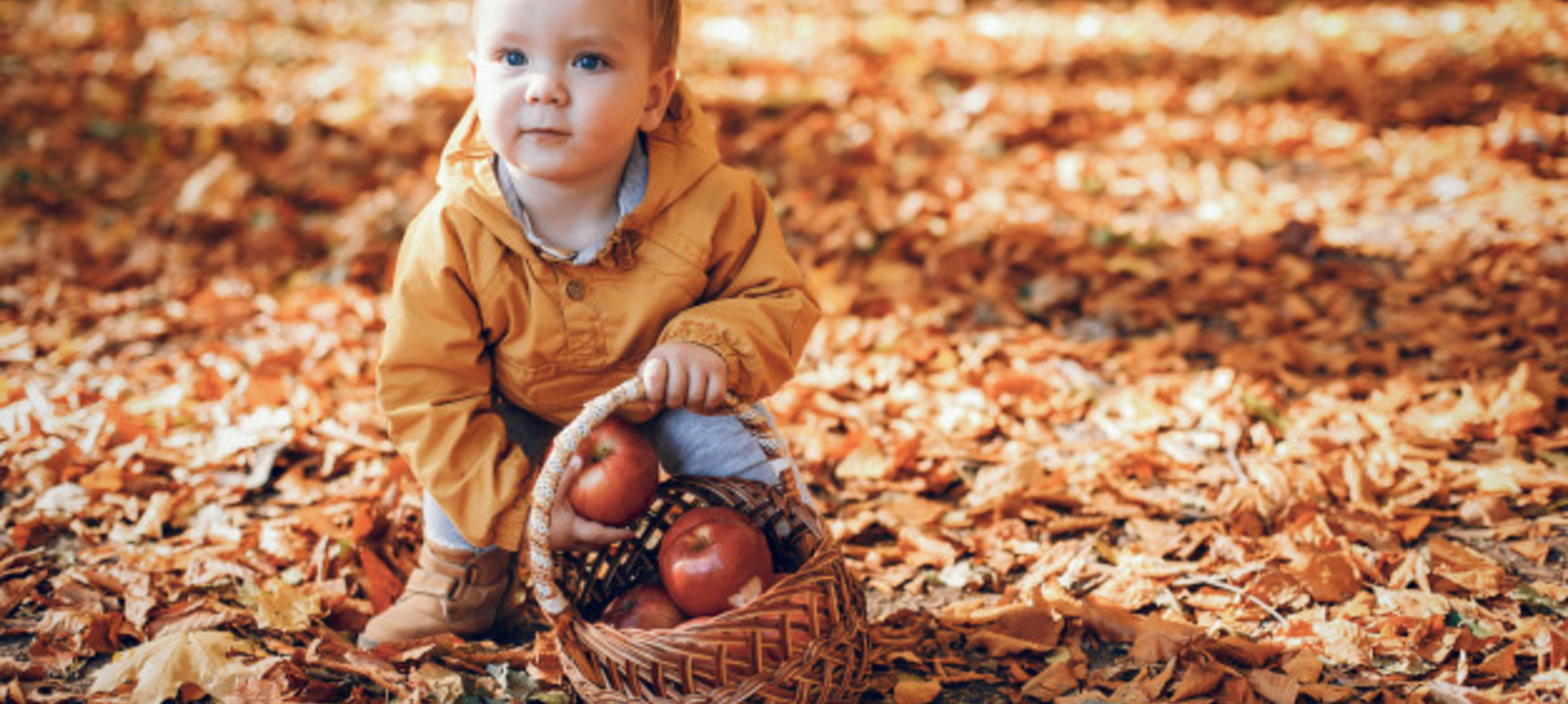 10 herfst activiteiten met kids