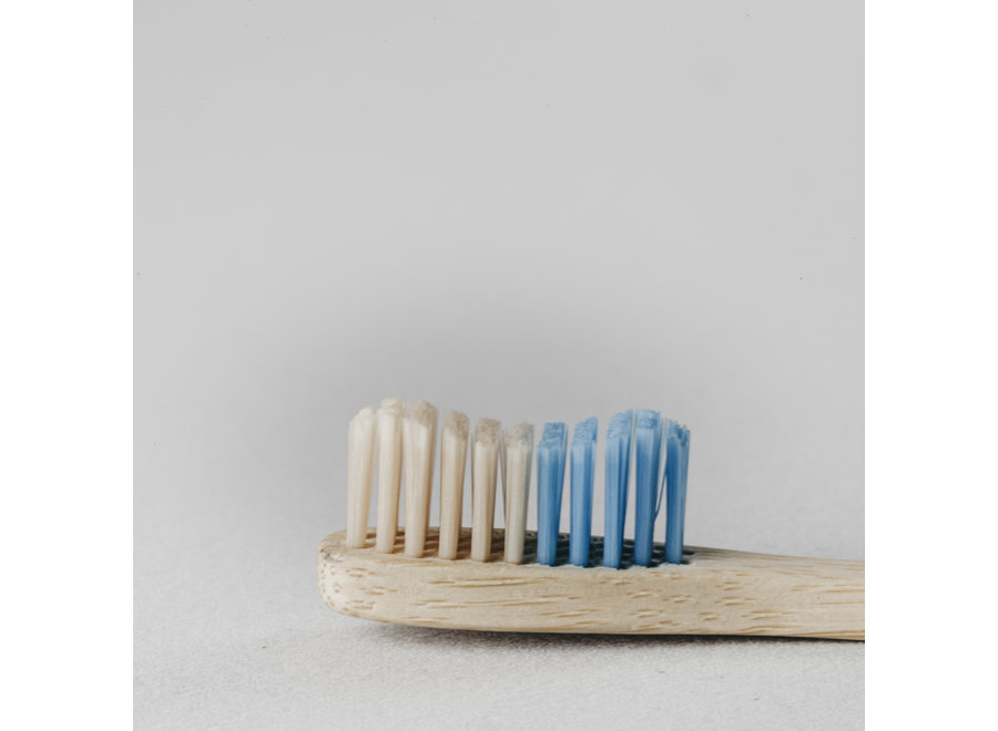 Banbu tandenborstels | Hard | bamboe | 2 kleuren