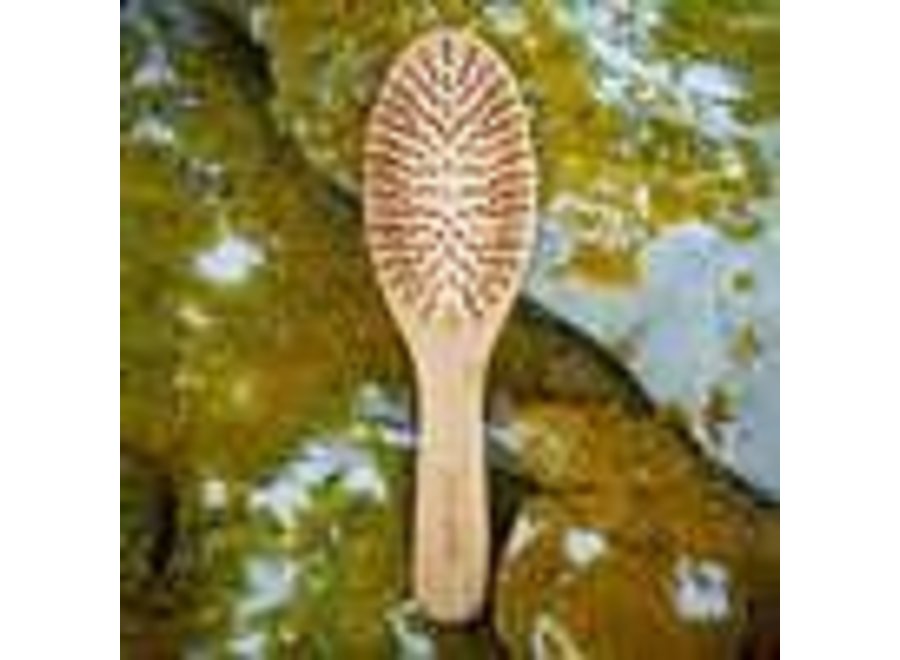 Bamboo hairbrush