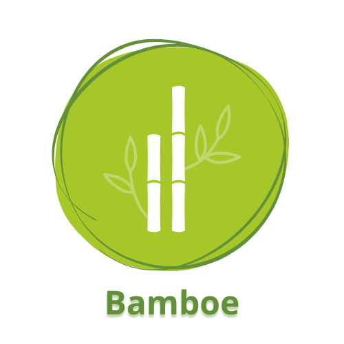 Bamboo