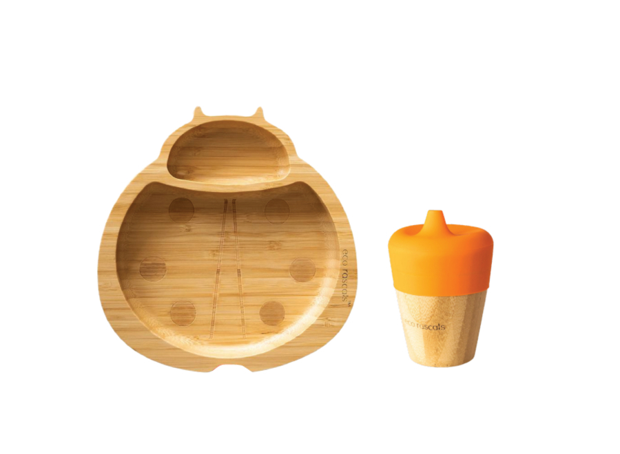 Bamboo plate ladybug & spout cup - Multi color