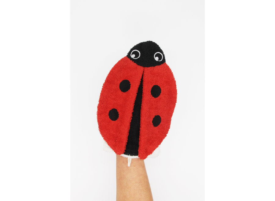 Washcloth - Organic Cotton - Large - Martin the Ladybug