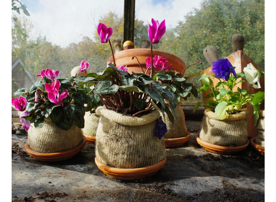 Wool pots - Fabriqués à 100 % en laine de mouton - Pot à plantes compostable