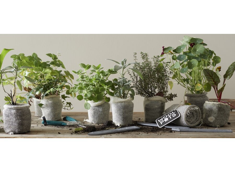 Wool pots - Fabriqués à 100 % en laine de mouton - Pot à plantes compostable