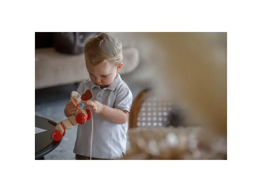 Trekfiguur - Blij Hondje