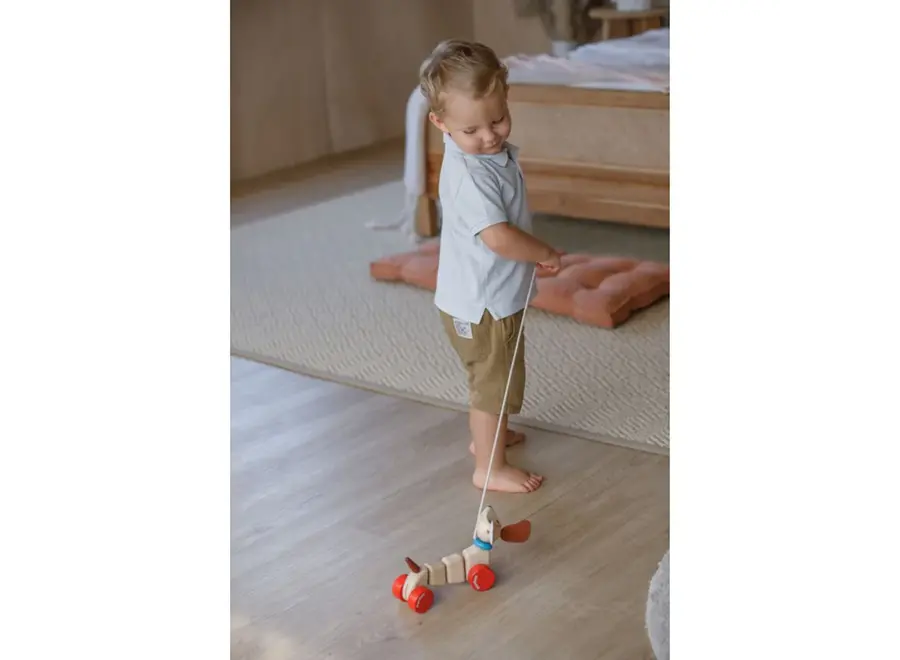 Trekfiguur - Blij Hondje