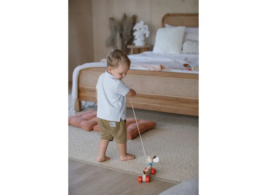 Trekfiguur - Blij Hondje