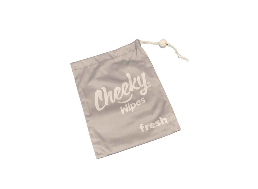 Cheeky Wipes - Pochette pour lingettes Baby Fresh - Argent et bleu - Fermeture facile - Peut contenir jusqu'à 15 lingettes